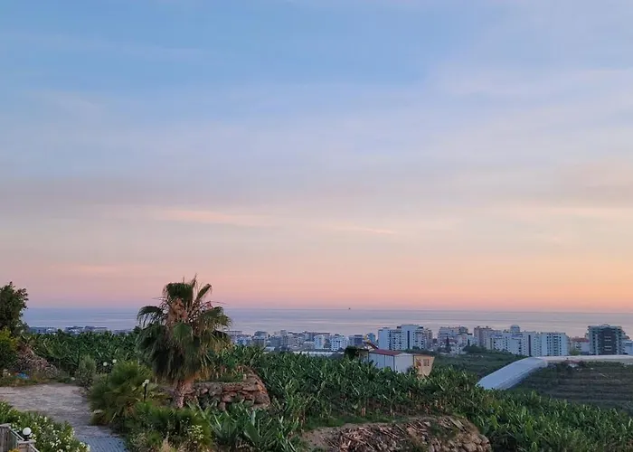 Jasminpark فيلة *