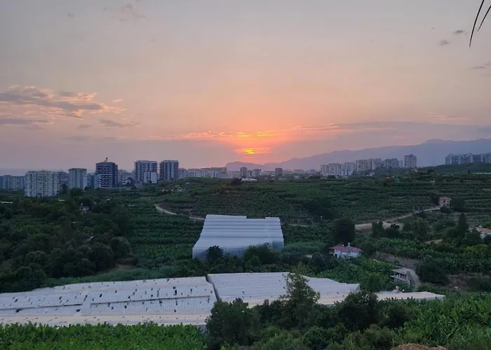 Вілла Jasminpark